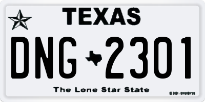 TX license plate DNG2301