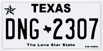 TX license plate DNG2307