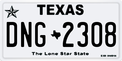 TX license plate DNG2308