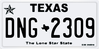 TX license plate DNG2309