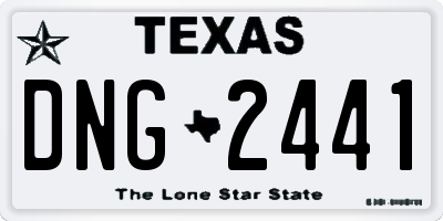 TX license plate DNG2441