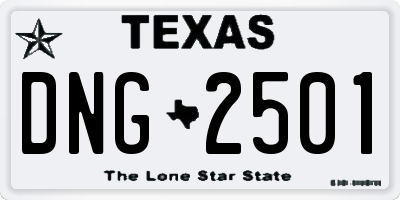 TX license plate DNG2501