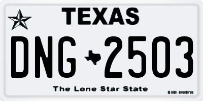 TX license plate DNG2503