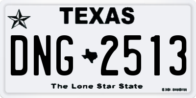 TX license plate DNG2513