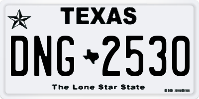 TX license plate DNG2530