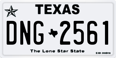 TX license plate DNG2561