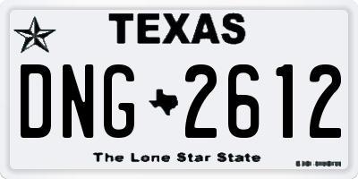 TX license plate DNG2612
