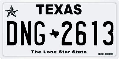 TX license plate DNG2613