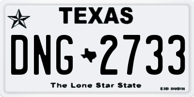 TX license plate DNG2733