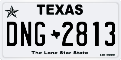 TX license plate DNG2813