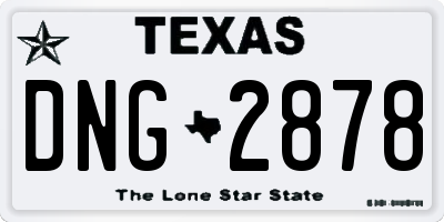 TX license plate DNG2878