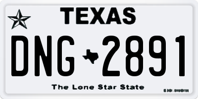 TX license plate DNG2891