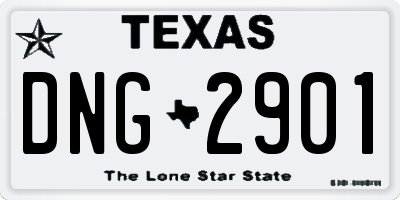 TX license plate DNG2901