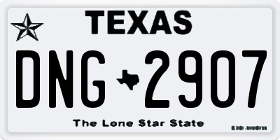 TX license plate DNG2907