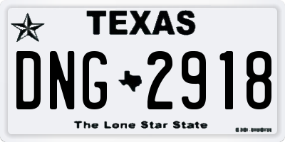 TX license plate DNG2918