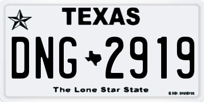 TX license plate DNG2919