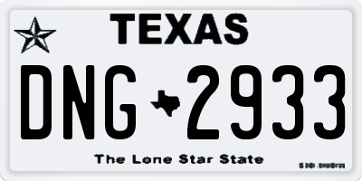 TX license plate DNG2933