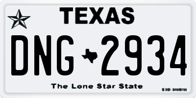 TX license plate DNG2934