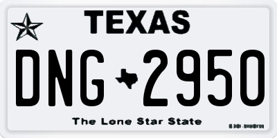 TX license plate DNG2950