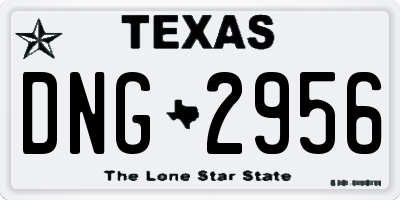 TX license plate DNG2956