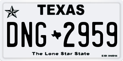 TX license plate DNG2959