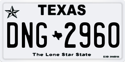 TX license plate DNG2960