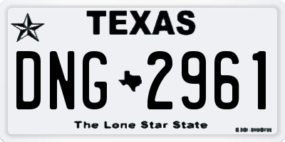 TX license plate DNG2961