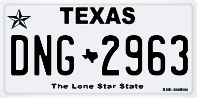 TX license plate DNG2963