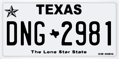 TX license plate DNG2981