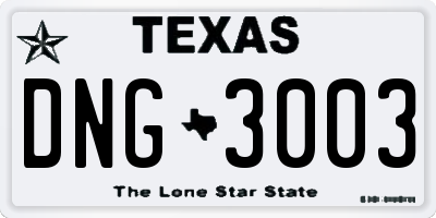 TX license plate DNG3003