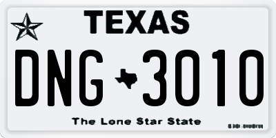 TX license plate DNG3010