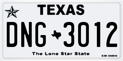 TX license plate DNG3012