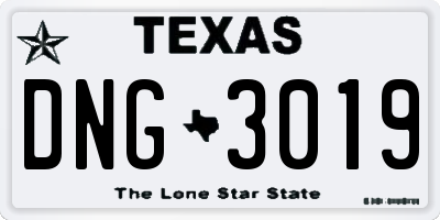 TX license plate DNG3019
