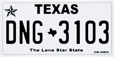 TX license plate DNG3103