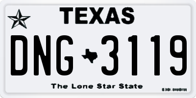 TX license plate DNG3119