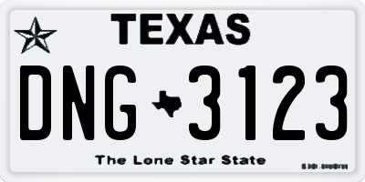 TX license plate DNG3123