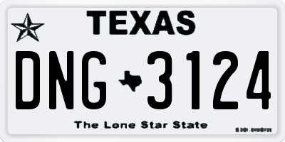 TX license plate DNG3124