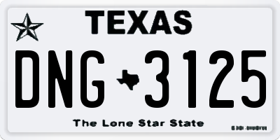 TX license plate DNG3125