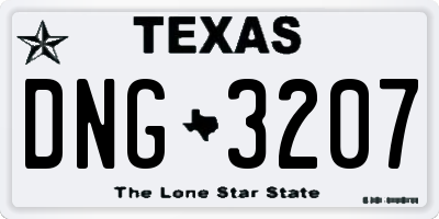 TX license plate DNG3207
