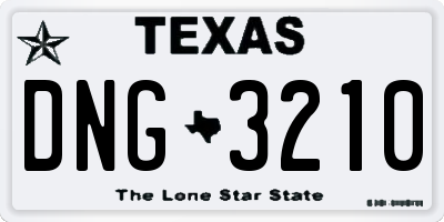 TX license plate DNG3210