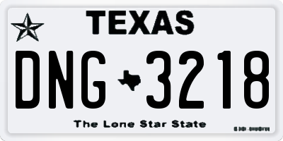 TX license plate DNG3218