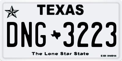 TX license plate DNG3223