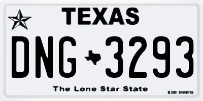 TX license plate DNG3293