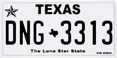 TX license plate DNG3313