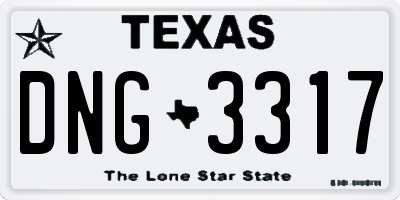 TX license plate DNG3317