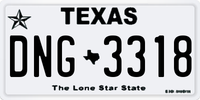 TX license plate DNG3318