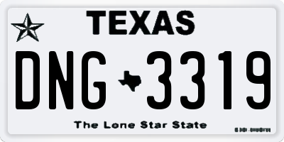 TX license plate DNG3319