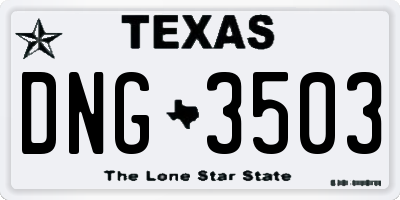 TX license plate DNG3503