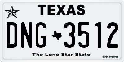 TX license plate DNG3512