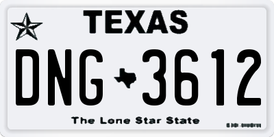 TX license plate DNG3612